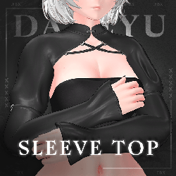 Sleeve Top