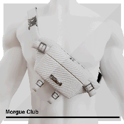 [*Free* Check Desc.]  Crossbody Bag 2.0