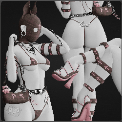 ' provocative doberman ' set