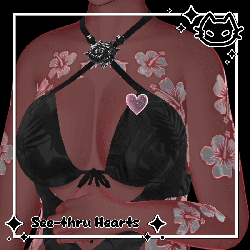 โค๏ธโ See-Thru Heart Pack โค๏ธโ Animated Chest heart โค๏ธโ Angel / Coffin / Kitty / Heart โค๏ธโ