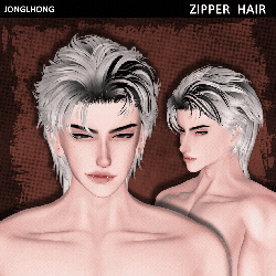 ♡ ZIPPER hair