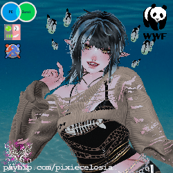 Nami (PC/Quest/FT) - CHARITY COLLAB