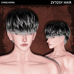 ♡ ZYTOSY hair
