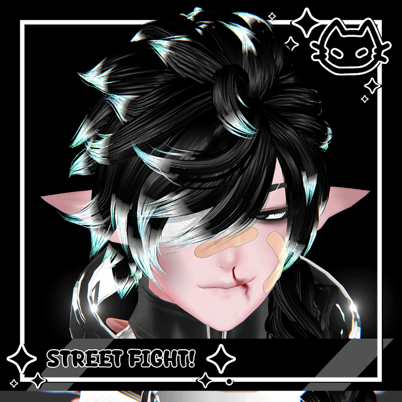 ✦ STREET FIGHT! ✦ ICARUS ✦ FREE