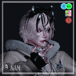 Haru - PC, FT and Quest