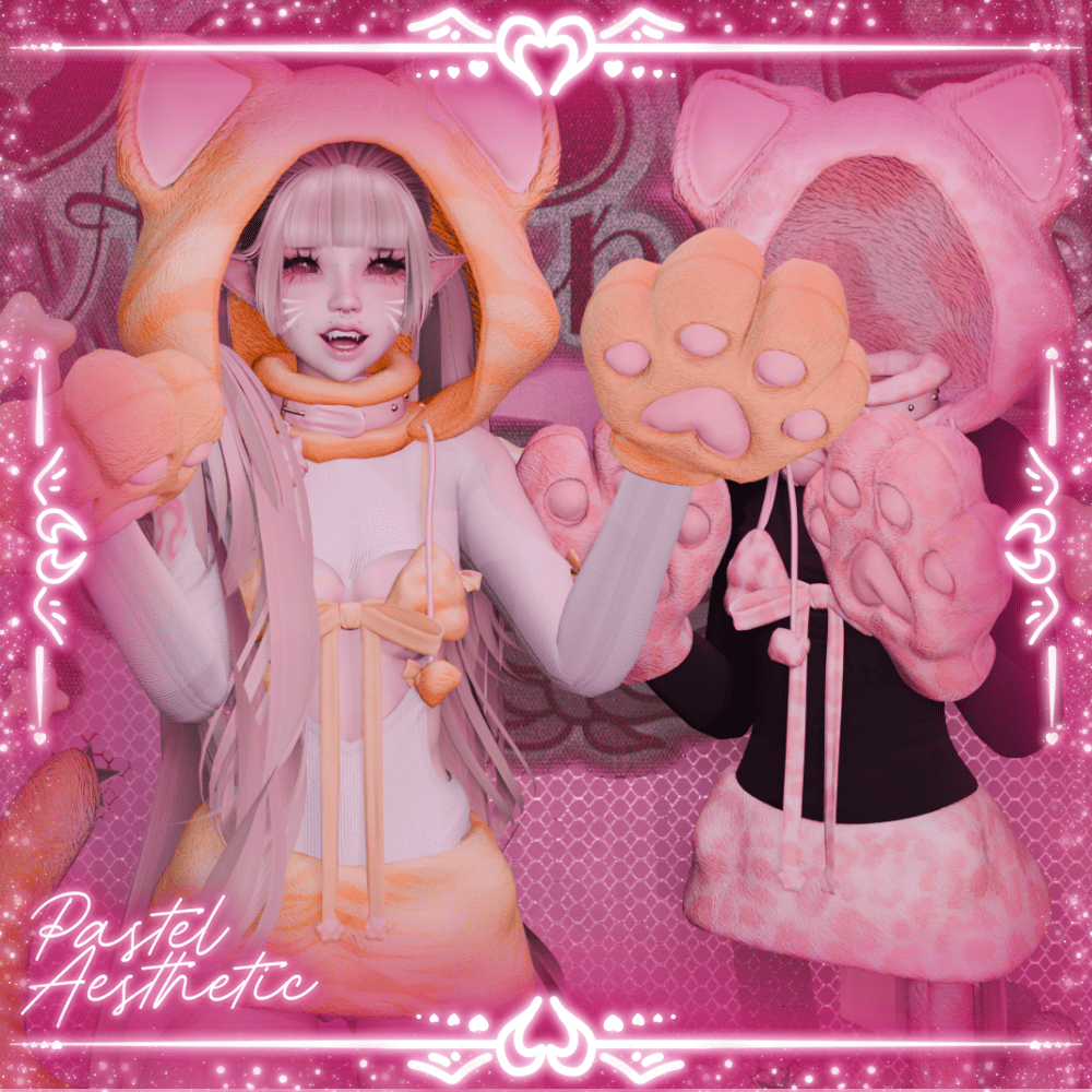 Fluffy Cat Set