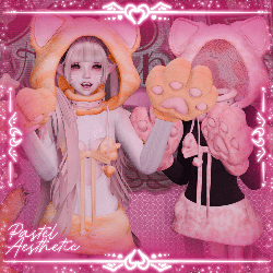 Fluffy Cat Set