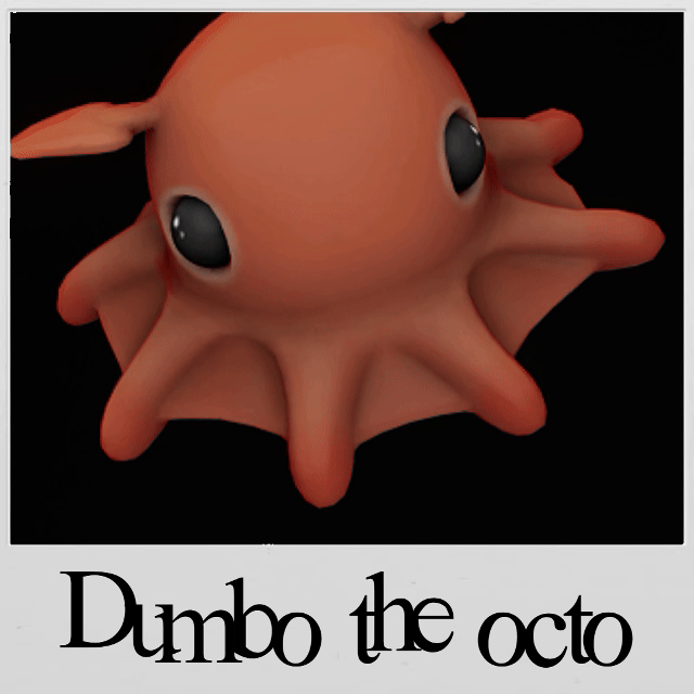 Dumbo the Octopus