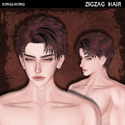 ♡ ZIGZAG hair