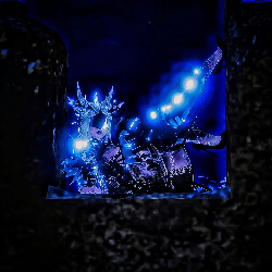 ☾︎𝑺𝑼𝑴𝑴𝑬𝑹 𝑺𝑷𝑬𝑪𝑰𝑨𝑳☽︎ 𝑩𝑼𝑵𝑫𝑳𝑬