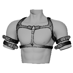 046 - CHX Harness