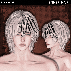 ♡ ZITHER hair