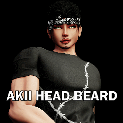 Akii Head Beard Set (SERVER FREE)
