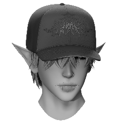 051 - CSH Fitted hat