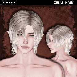♡ ZELIG hair