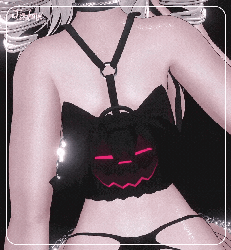 ♡﹕Pumpi Bag