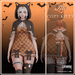 🎃 Cozy Kitty | Halloween 🎃