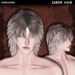 ♡ ZAMIR hair
