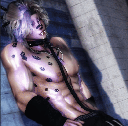 Kayden (PC & FT & QUEST(SOON))
