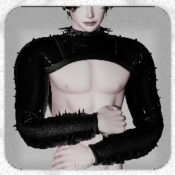 L17 - Latex crop-top (NITRO ARCHIVE 5)