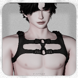 h17 - XV Harness (NITRO ARCHIVE 5)