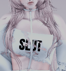 ♡﹕PF Set - 800 Member freebie!