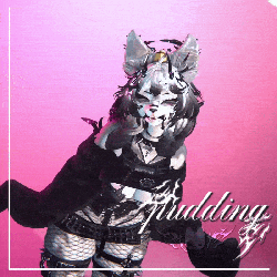 Pudding | VRCFT | GoGo | SPS | Limb Scaler